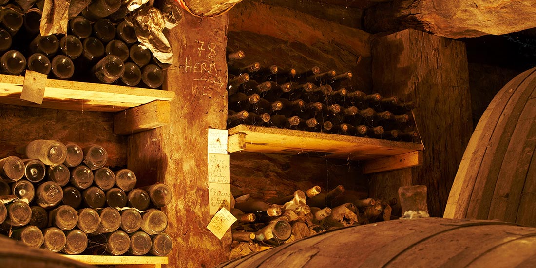 Old wine bottles in cellar. 